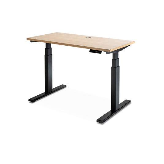 Enhance Dual Motor Standing Desk