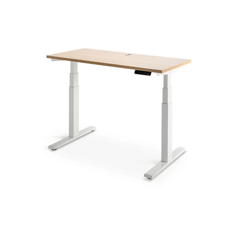 Load image into Gallery viewer, Enhance Dual Motor Standing Desk
