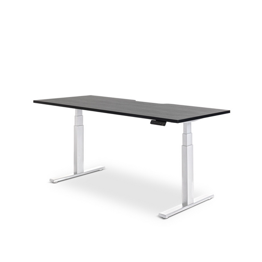 Enhance Dual Motor Standing Desk