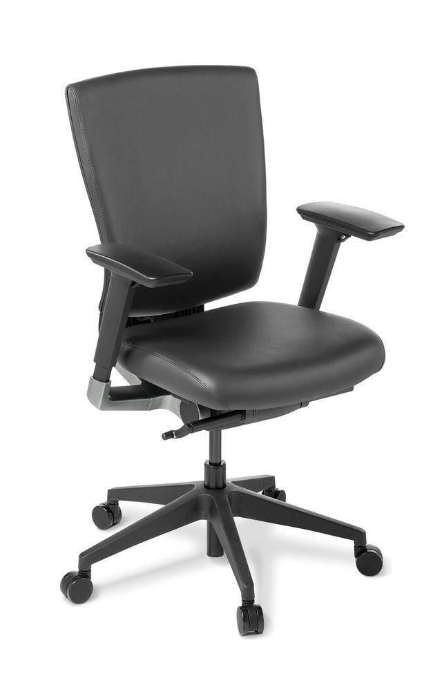 Load image into Gallery viewer, Eden Cloud Ergo Chair - Black Leather
