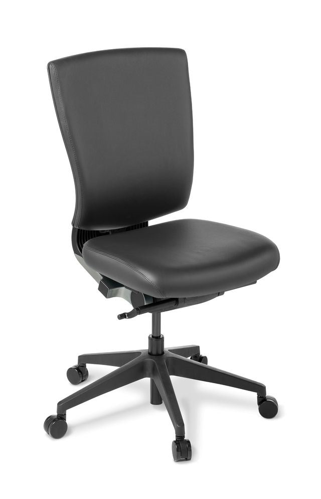 Load image into Gallery viewer, Eden Cloud Ergo Chair - Black Leather
