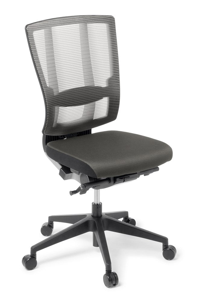 Eden Cloud Ergo Chair